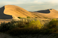 Bruneau Dunes