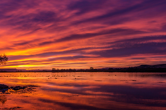 Snake River Sunrise